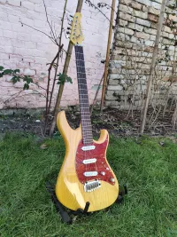 Cort G260 Swamp Ash Korea Guitarra eléctrica - GooseT [Today, 3:16 pm]