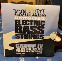 Ernie Ball 