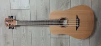 Harley Benton  Electro Acoustic Bass - Katona Ákos [March 20, 2025, 12:56 pm]