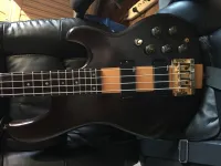 Ibanez MC 824 DS Akustik-Bass - Joci12 [Today, 5:55 pm]