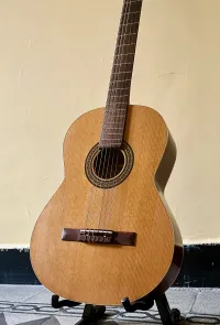 Godin Etude Qi Electro Acoustic klassische Gitarre [January 23, 2025, 11:34 am]