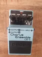 BOSS Chorus Ensemble