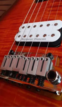 Cort G290 FAT