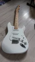 Fender Stratocaster Player Series