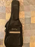 Godin VBGAC Gig Bag Guitar case [January 31, 2025, 2:05 am]