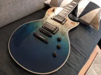 LTD EC-1000