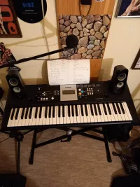 YAMAHA Ypt 220