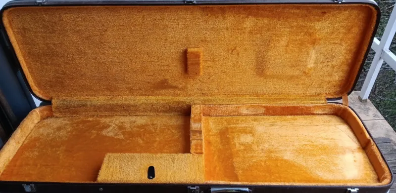 Aria Pro II 1975 Primary Bass Vintage Basszusgitár tok
