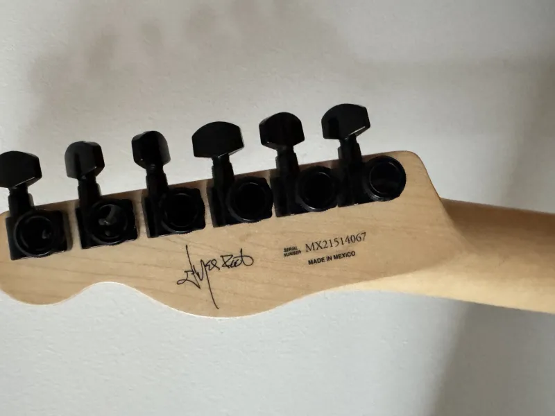 Fender Jim Root Telecaster Ebony, Flat White Electric guitar