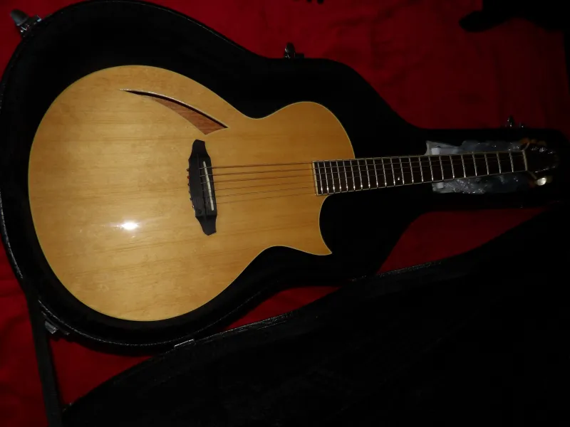 LTD TL-6 NAT fémhúros Elektroakusztikus gitár