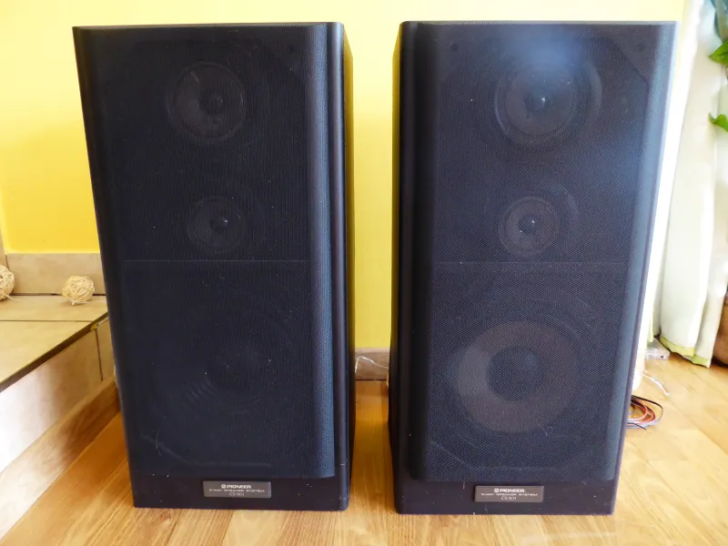 Pioneer CS-301 Hangfal