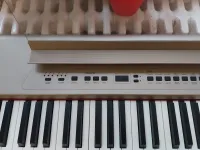 Orla Stage Player Electric piano [February 14, 2025, 2:01 pm]