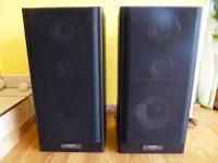 Pioneer CS-301 Hangfal [2025.02.10. 18:33]