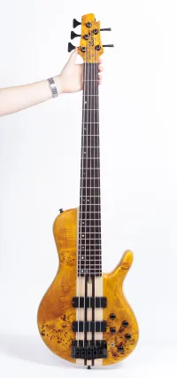 Cort A5 Plus-SC AOP + keménytok 5-Saiter Bass-Gitarre - Krajcsik Lóránt [March 21, 2025, 1:46 pm]