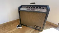 Epiphone Pathfinder EA-28RVT Gibson Falcon tube amplifier - Tepi [Today, 11:14 am]