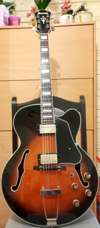 Ibanez AFJ95-VSB