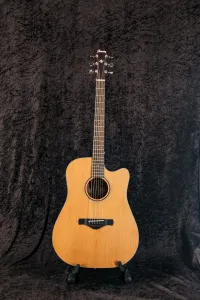 Ibanez AW65 ECE-LG