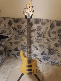 LTD B-334 Bass guitar - hamarci [Today, 11:35 am]