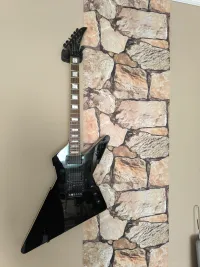 Peavey Rotor Exp