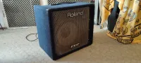 Roland DB-500 Bass guitar combo amp - Gábor [March 3, 2025, 10:08 am]