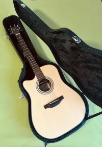 Takamine GD10CE LH NS Guitarra electroacústica para zurdos [February 20, 2025, 2:13 pm]