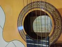 Takamine Takamine - EG562C Thin Line Nylon String Classical Electro Acoustic klassische Gitarre - kandras [March 22, 2025, 3:49 pm]