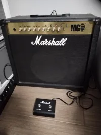 Marshall MG100fx