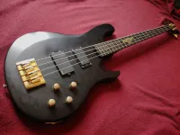 Schecter Johnny Christ Signature Keménytokkal