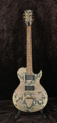 - Infintity Snakeskin Les Paul