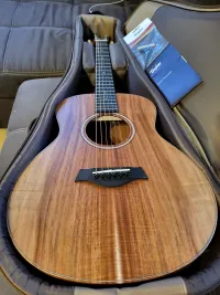 Taylor GSmini-e KOA