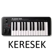 Alesis Q25 MIDI klávesnica - Patrick Metheny Of Rock [March 20, 2025, 4:27 pm]