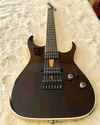 Handmade 7-string 7-saitige E-Gitarre - psychogang aszti [March 16, 2025, 9:01 pm]