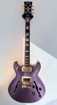 Harley Benton HB-35 Plus Gotoh E-Gitarre - Schnellbach Máté [March 19, 2025, 8:24 am]