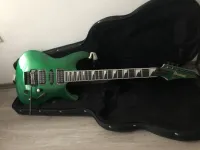 Ibanez FGM 300