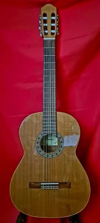 Raimundo 123 Electro-acoustic classic guitar - Laszlo Tottos [Day before yesterday, 4:55 pm]