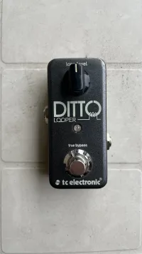 TC Electronic Ditto Loop stanica - H Benny [March 16, 2025, 10:12 am]