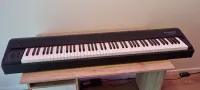 M-Audio Hammer 88 MIDI Keyboard Controller