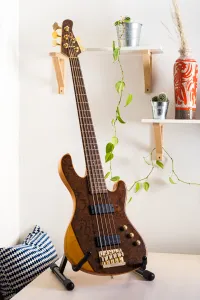 Cort Rithimic V Jeff Berlin Signature