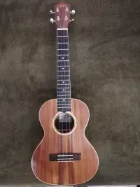 Lanikai ACST-T elektroakusztikus Ukulele - Gábor [Today, 6:30 am]