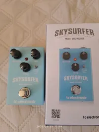 TC Electronic Skysurfrer mini reverb Effect - Eho [Today, 8:13 pm]