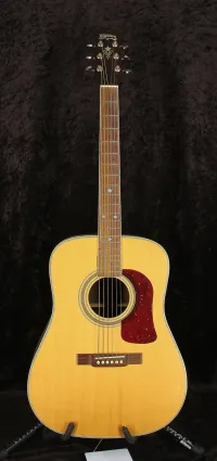 Washburn D-21SN Akustikgitarre - Vintage52 Hangszerbolt és szerviz [March 31, 2025, 10:11 pm]