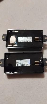 EMG 6081 Pickup - Flütike [Today, 2:16 pm]