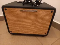 Ibanez Troubadour T30-U
