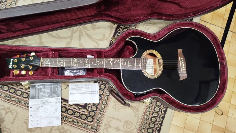 Ibanez Euphoria EP10-BP Electro-acoustic guitar