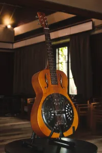 Epiphone Dobro Hound Dog
