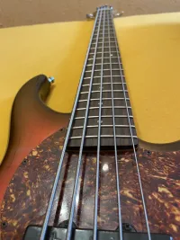 Pedulla Rapture JJ 5