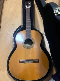 - Manuel Cáceres spányol mester klasszikus gitár Klasszikus gitár - Albert [Tegnapelőtt, 15:30]