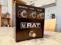 - Proco Rat 1981 - Proco Rat 1981