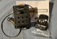 Fishman Presys Blend 301 Acoustic guitar electronics - Nagy Bandi [April 30, 2025, 4:57 pm]