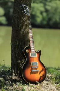 Gibson Les Paul Standard Gibson Les Paul Standard